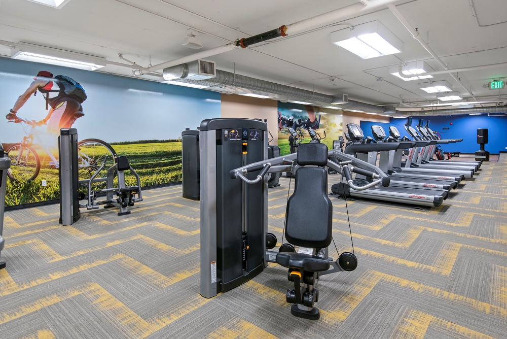 A gym with equipment for both cardio exercise, such as treadmills, and weight training, such as chest press machines.